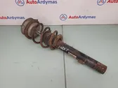 Front shock absorber/damper