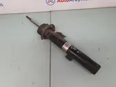 Front shock absorber/damper