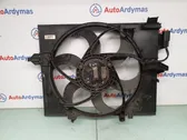 Electric radiator cooling fan