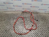 Positive cable (battery)