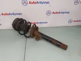 Front shock absorber/damper