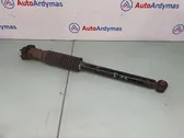 Rear shock absorber/damper