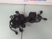 Engine installation wiring loom