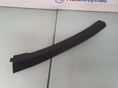 Other rear door trim element
