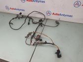 Other wiring loom