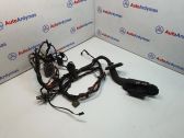 Front door wiring loom