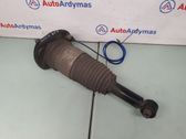 Задний aмортизатор (пневматическое / гидравлическое шасси)