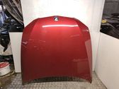 Engine bonnet/hood