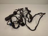 Rear door wiring loom