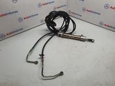 Tailgate/trunk strut/damper