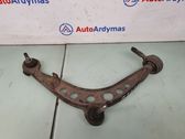 Front lower control arm/wishbone