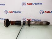Rear shock absorber/damper