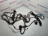 Rear door wiring loom