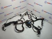 Front door wiring loom