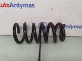 Front coil spring