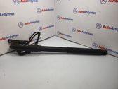 Tailgate/trunk strut/damper