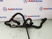 Engine coolant pipe/hose