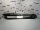 Front sill trim cover