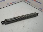 Tailgate/trunk strut/damper
