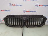Front bumper upper radiator grill
