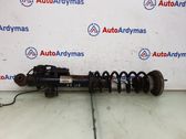 Rear shock absorber/damper