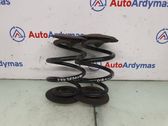 Front coil spring