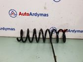 Rear coil spring