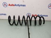 Rear coil spring