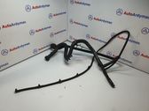 Fuel return line/hose