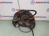 Rear wheel hub spindle/knuckle