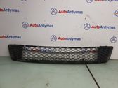 Front bumper lower grill
