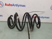 Front coil spring