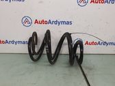 Front coil spring