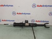 Front shock absorber/damper