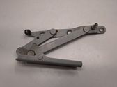 Tailgate/trunk/boot hinge
