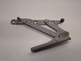 Tailgate/trunk/boot hinge