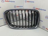 Front bumper upper radiator grill