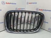 Front bumper upper radiator grill