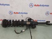 Front shock absorber/damper