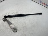 Tailgate strut