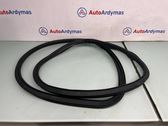 Front door rubber seal