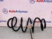 Front coil spring