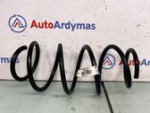 Front coil spring