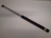 Front bonnet/hood damper/strut