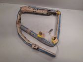 Roof airbag