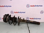 Front shock absorber/damper