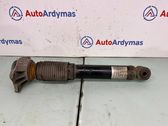 Rear shock absorber/damper