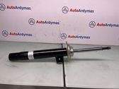 Front shock absorber/damper