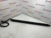 Tailgate/trunk strut/damper