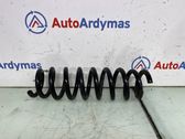 Rear coil spring